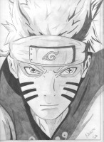 /album/galleria-fotografica/a008-jpg/